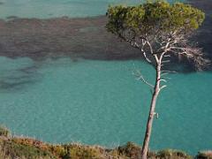 1 Les Calanques entre Marseille et Cassis 2_000010